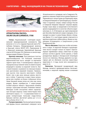 Красная книга Республики Беларусь. Животные. 5-е издание